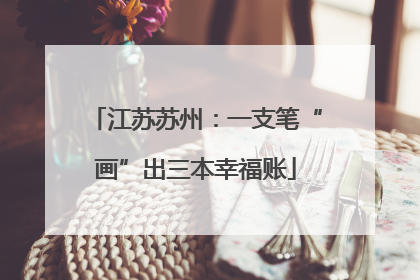江苏苏州：一支笔“画”出三本幸福账