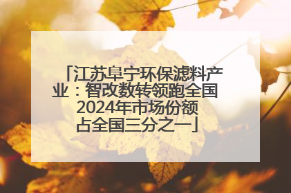 江苏阜宁环保滤料产业：智改数转领跑全国 2024年市场份额占全国三分之一