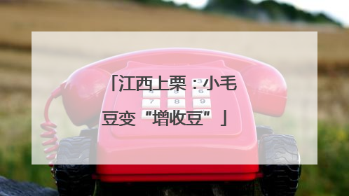 江西上栗：小毛豆变“增收豆”