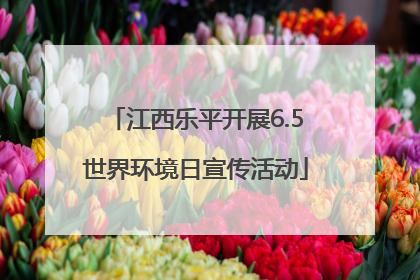 江西乐平开展6.5世界环境日宣传活动