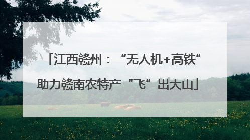 江西赣州：“无人机+高铁”助力赣南农特产“飞”出大山