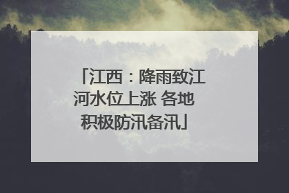 江西：降雨致江河水位上涨 各地积极防汛备汛