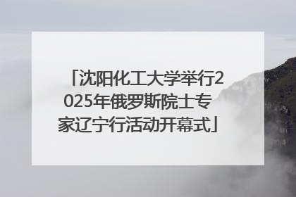 沈阳化工大学举行2025年俄罗斯院士专家辽宁行活动开幕式