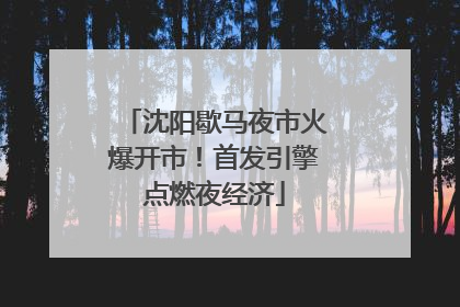沈阳歇马夜市火爆开市！首发引擎点燃夜经济