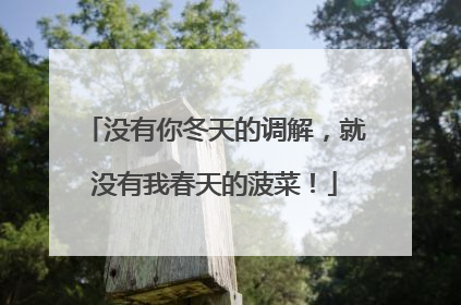 没有你冬天的调解，就没有我春天的菠菜！