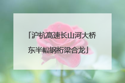 沪杭高速长山河大桥东半幅钢桁梁合龙
