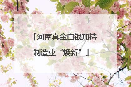 河南真金白银加持制造业“焕新”
