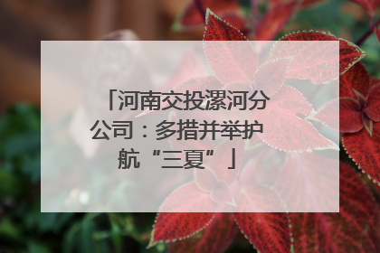 河南交投漯河分公司：多措并举护航“三夏”