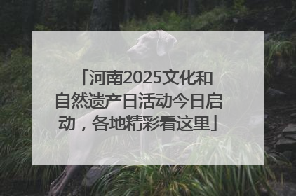河南2025文化和自然遗产日活动今日启动，各地精彩看这里