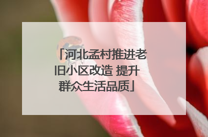 河北孟村推进老旧小区改造 提升群众生活品质