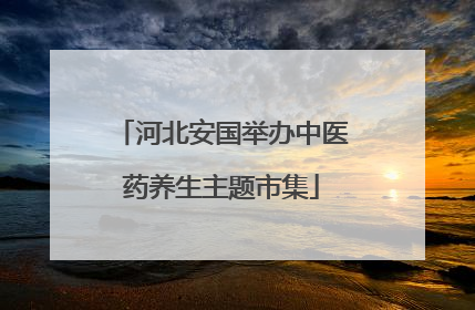 河北安国举办中医药养生主题市集