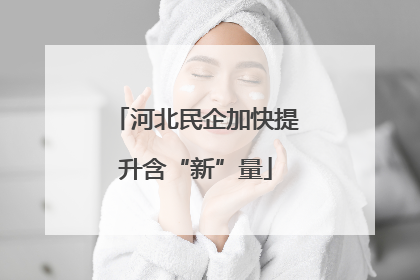 河北民企加快提升含“新”量