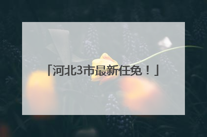 河北3市最新任免！