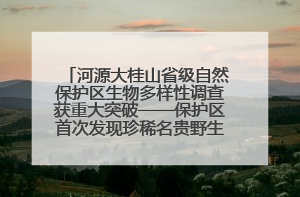河源大桂山省级自然保护区生物多样性调查获重大突破——保护区首次发现珍稀名贵野生干巴菌与钝尾两头蛇