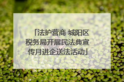 法护营商 城阳区税务局开展民法典宣传月进企送法活动