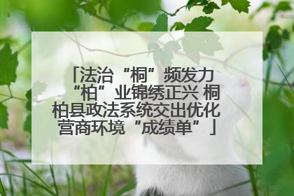 法治“桐”频发力 “柏”业锦绣正兴 桐柏县政法系统交出优化营商环境“成绩单”