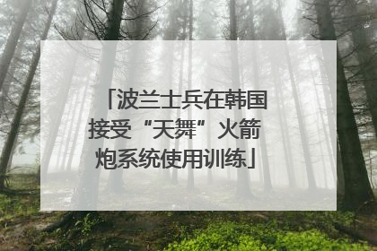 波兰士兵在韩国接受“天舞”火箭炮系统使用训练