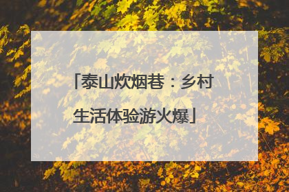 泰山炊烟巷：乡村生活体验游火爆