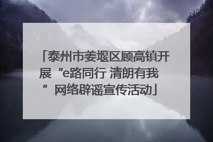 泰州市姜堰区顾高镇开展“e路同行 清朗有我”网络辟谣宣传活动