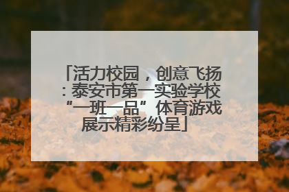 活力校园，创意飞扬：泰安市第一实验学校“一班一品”体育游戏展示精彩纷呈