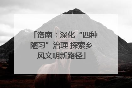 洛南：深化“四种陋习”治理 探索乡风文明新路径