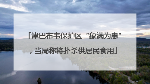 津巴布韦保护区“象满为患”，当局称将扑杀供居民食用