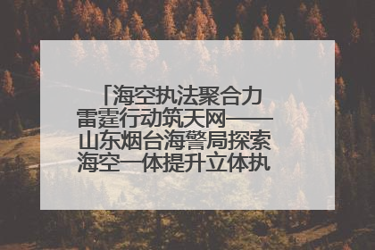 海空执法聚合力 雷霆行动筑天网——山东烟台海警局探索海空一体提升立体执法效能纪实