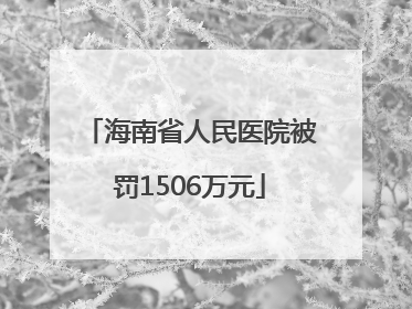海南省人民医院被罚1506万元