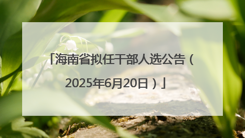 海南省拟任干部人选公告（2025年6月20日）