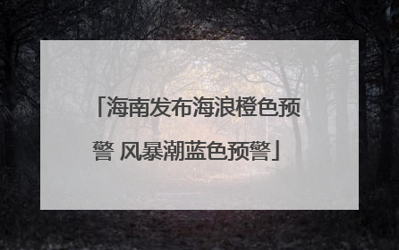 海南发布海浪橙色预警 风暴潮蓝色预警