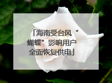 海南受台风“蝴蝶”影响用户全面恢复供电