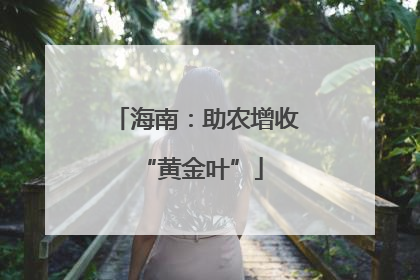 海南：助农增收 “黄金叶”