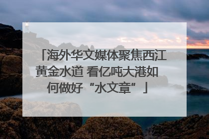 海外华文媒体聚焦西江黄金水道 看亿吨大港如何做好“水文章”