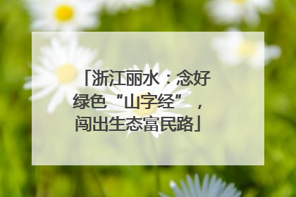 浙江丽水：念好绿色“山字经”，闯出生态富民路
