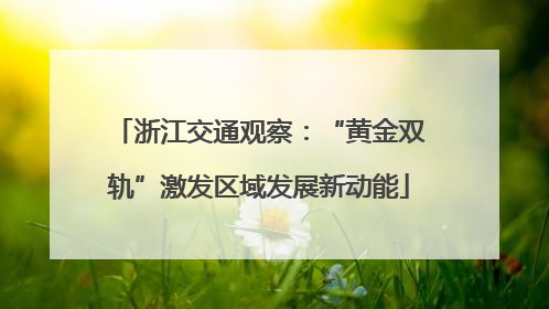 浙江交通观察：“黄金双轨”激发区域发展新动能