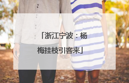 浙江宁波：杨梅挂枝引客来