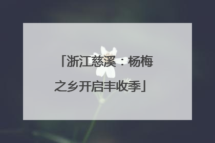 浙江慈溪：杨梅之乡开启丰收季