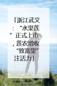 浙江武义：“水果莲”正式上市，莲农增收“致富果”注活力