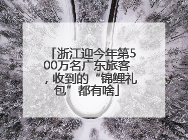 浙江迎今年第500万名广东旅客，收到的“锦鲤礼包”都有啥