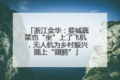 浙江金华：婺城蔬菜也“坐”上了飞机，无人机为乡村振兴插上“翅膀”