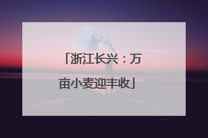 浙江长兴：万亩小麦迎丰收