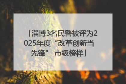淄博3名民警被评为2025年度“改革创新当先锋” 市级榜样