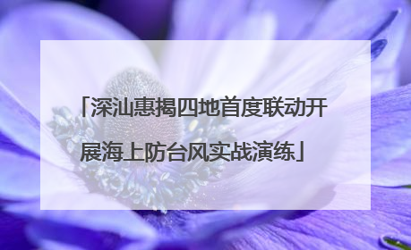 深汕惠揭四地首度联动开展海上防台风实战演练