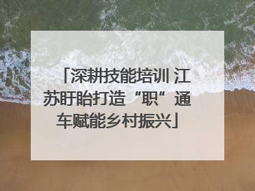 深耕技能培训 江苏盱眙打造“职”通车赋能乡村振兴