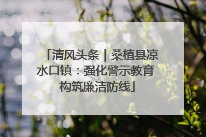 清风头条｜桑植县凉水口镇：强化警示教育 构筑廉洁防线
