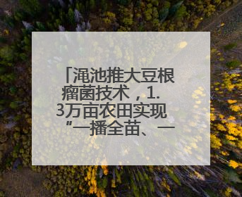 渑池推大豆根瘤菌技术，1.3万亩农田实现“一播全苗、一生节肥”
