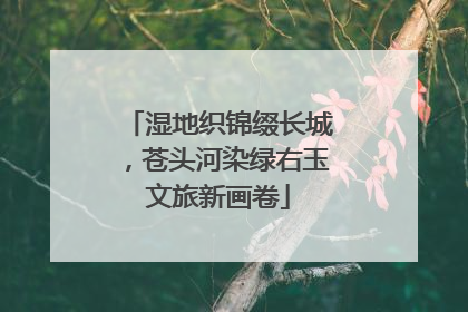 湿地织锦缀长城，苍头河染绿右玉文旅新画卷