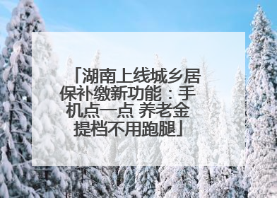 湖南上线城乡居保补缴新功能：手机点一点 养老金提档不用跑腿