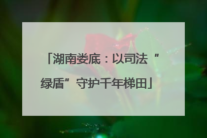 湖南娄底：以司法“绿盾”守护千年梯田