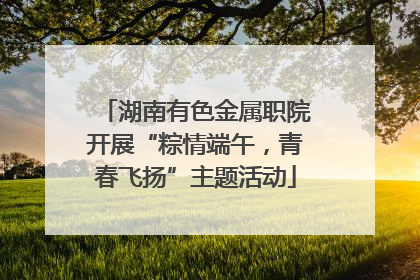 湖南有色金属职院开展“粽情端午，青春飞扬”主题活动